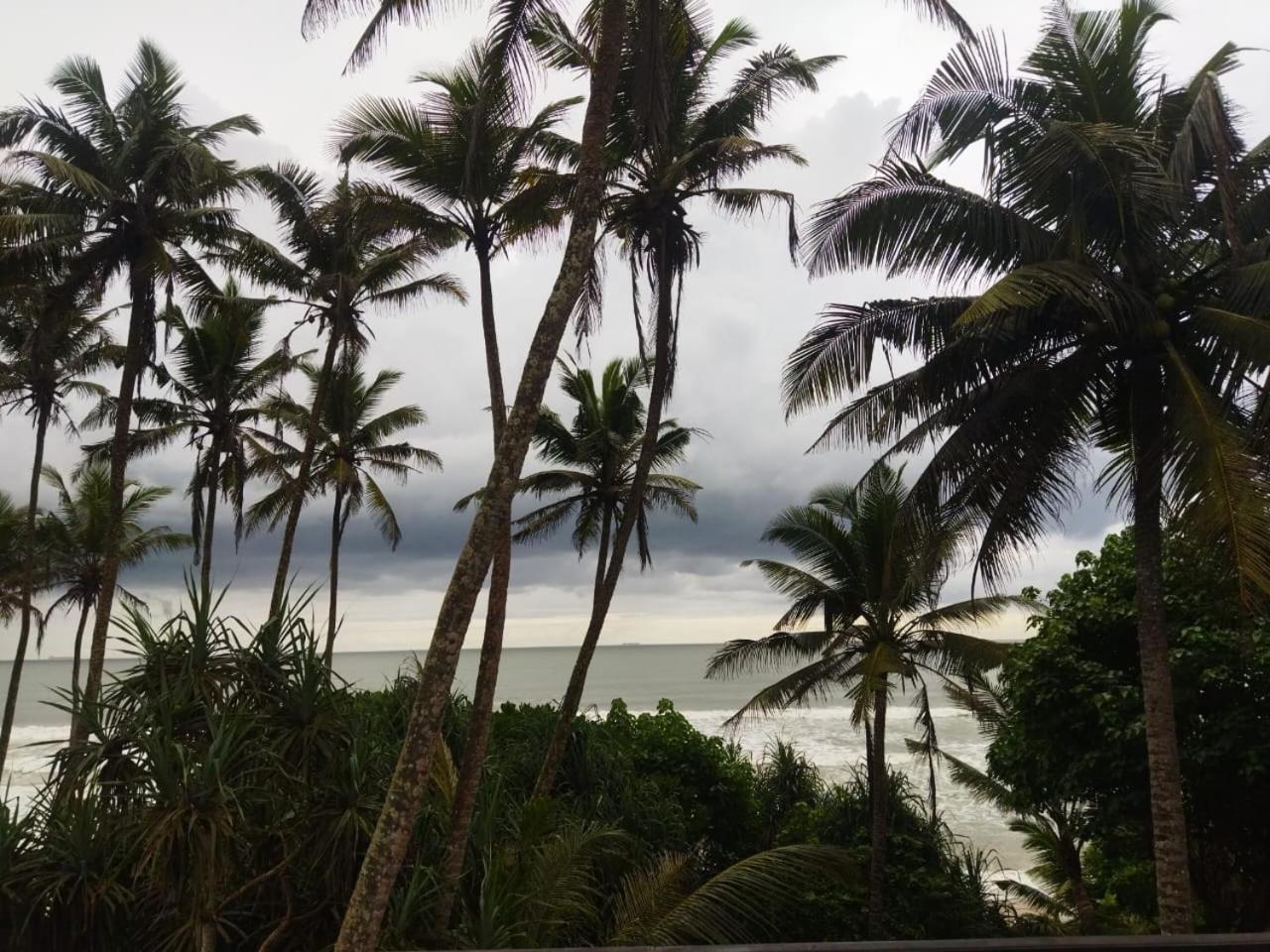 Lion Paradise Surf Beach Matara Zewnętrze zdjęcie